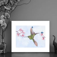 Image 1 of Print of a Racket tail Hummingbird with free Art Card