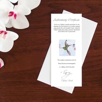Image 4 of Print of a Racket tail Hummingbird with free Art Card