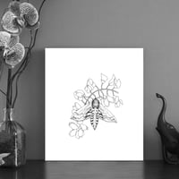 Image 1 of Black & white print of a Privet hawk moth with free Art Card