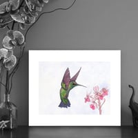 Image 1 of Print of an Emerald Hummingbird with free Art Card