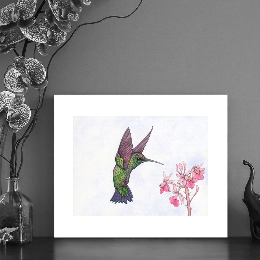 Image of Print of an Emerald Hummingbird 