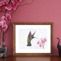 Image 3 of Print of an Emerald Hummingbird with free Art Card