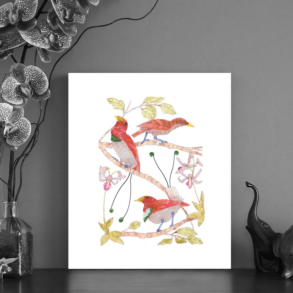 Image of Print of King Bird of Paradise series 1