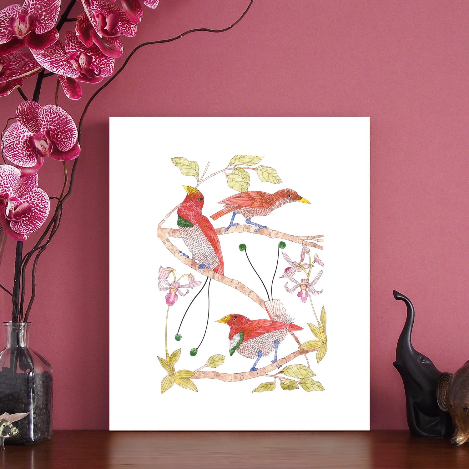 Image of Print of King Bird of Paradise series 1
