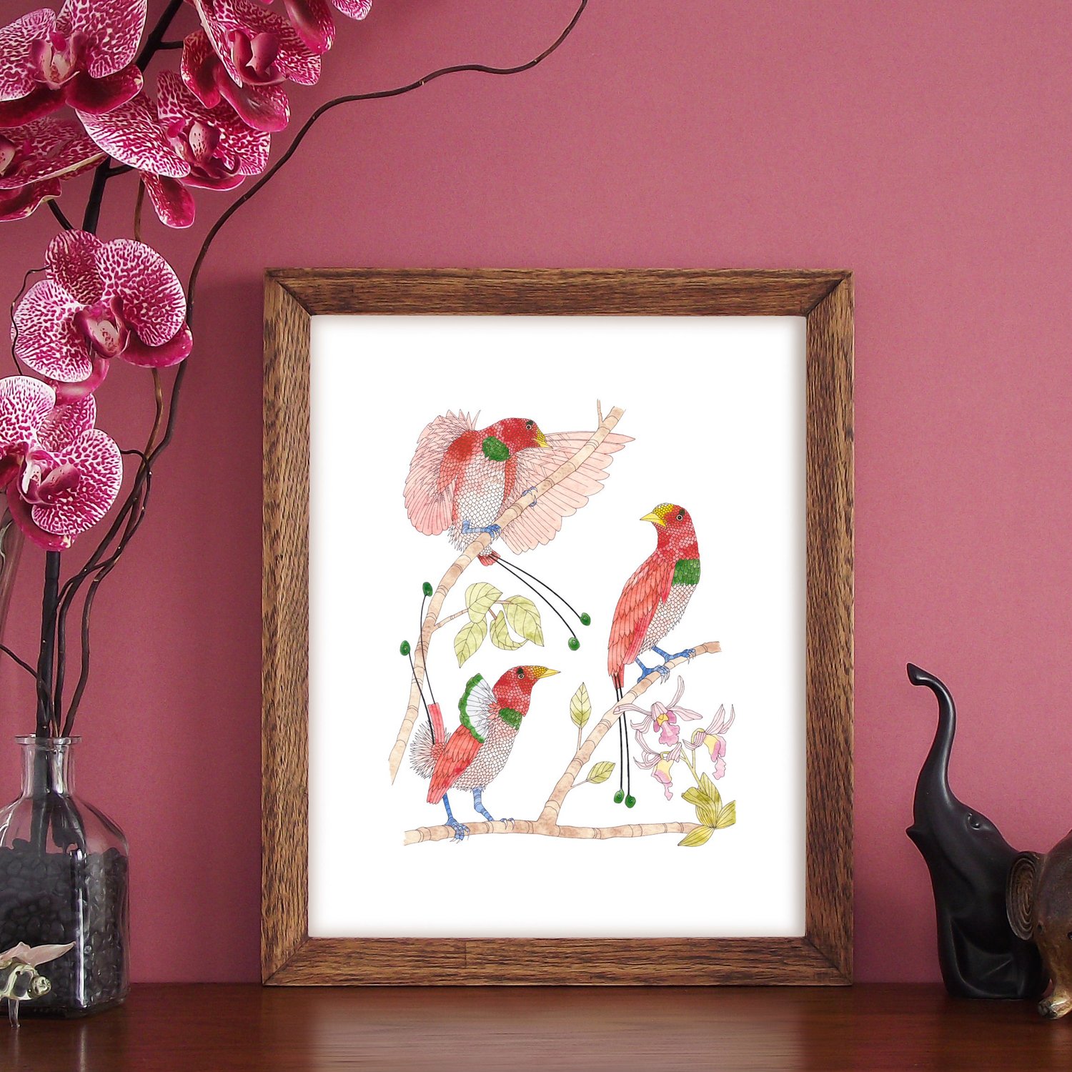 Image of Print of King Bird of Paradise series 2