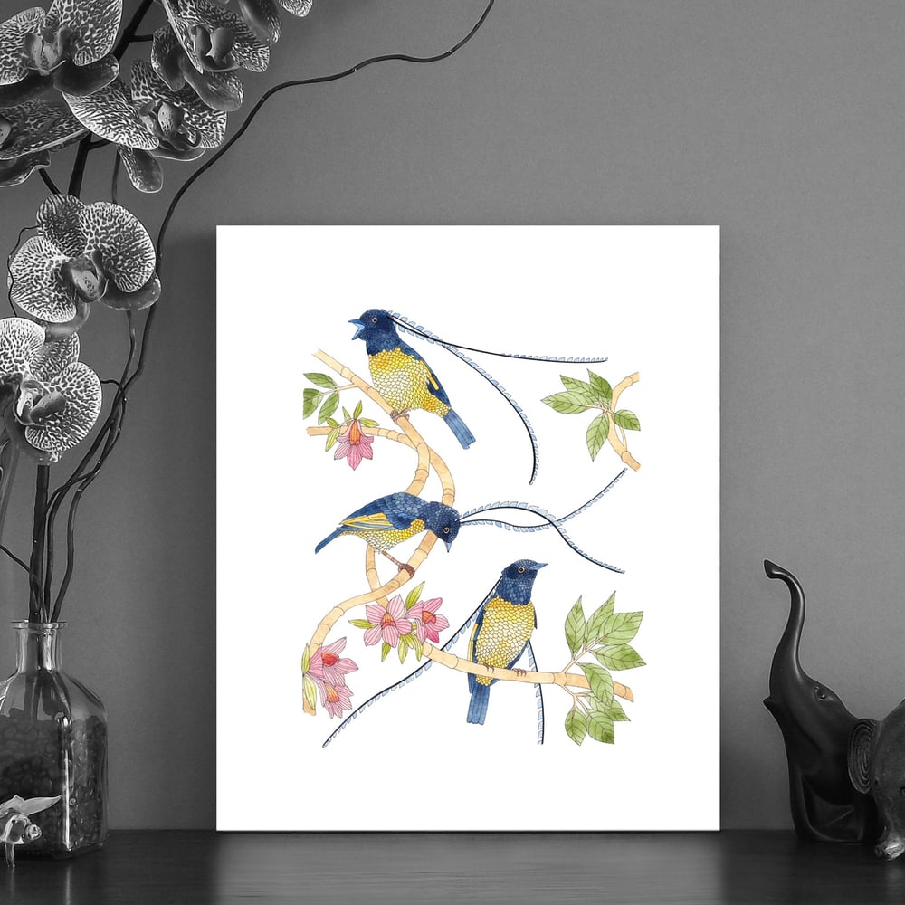 Image of Print of Saxony Bird of Paradise series 2