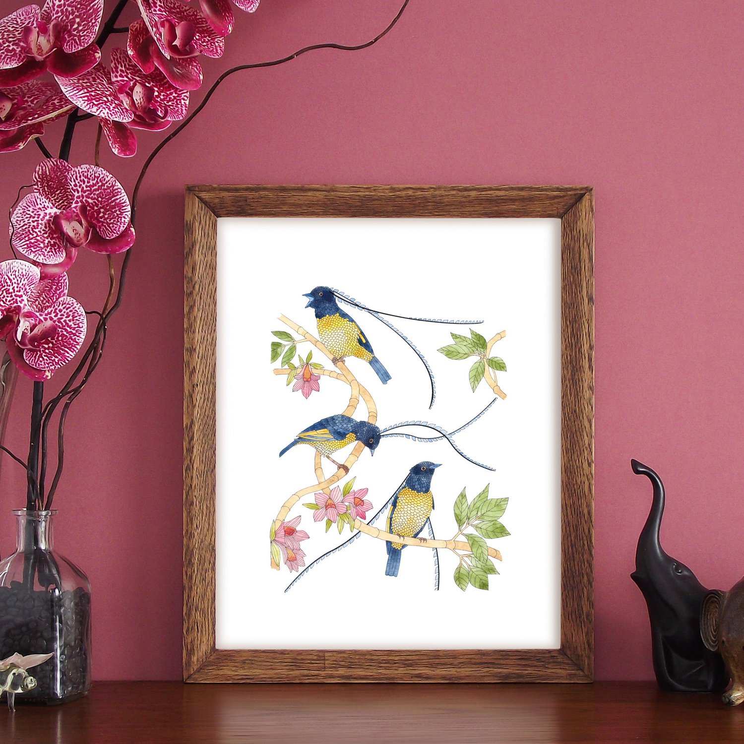 Image of Print of Saxony Bird of Paradise series 2