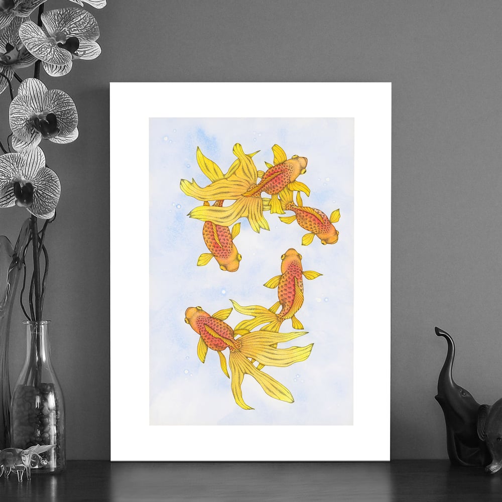 Image of Print of five fantailed fancy fish 