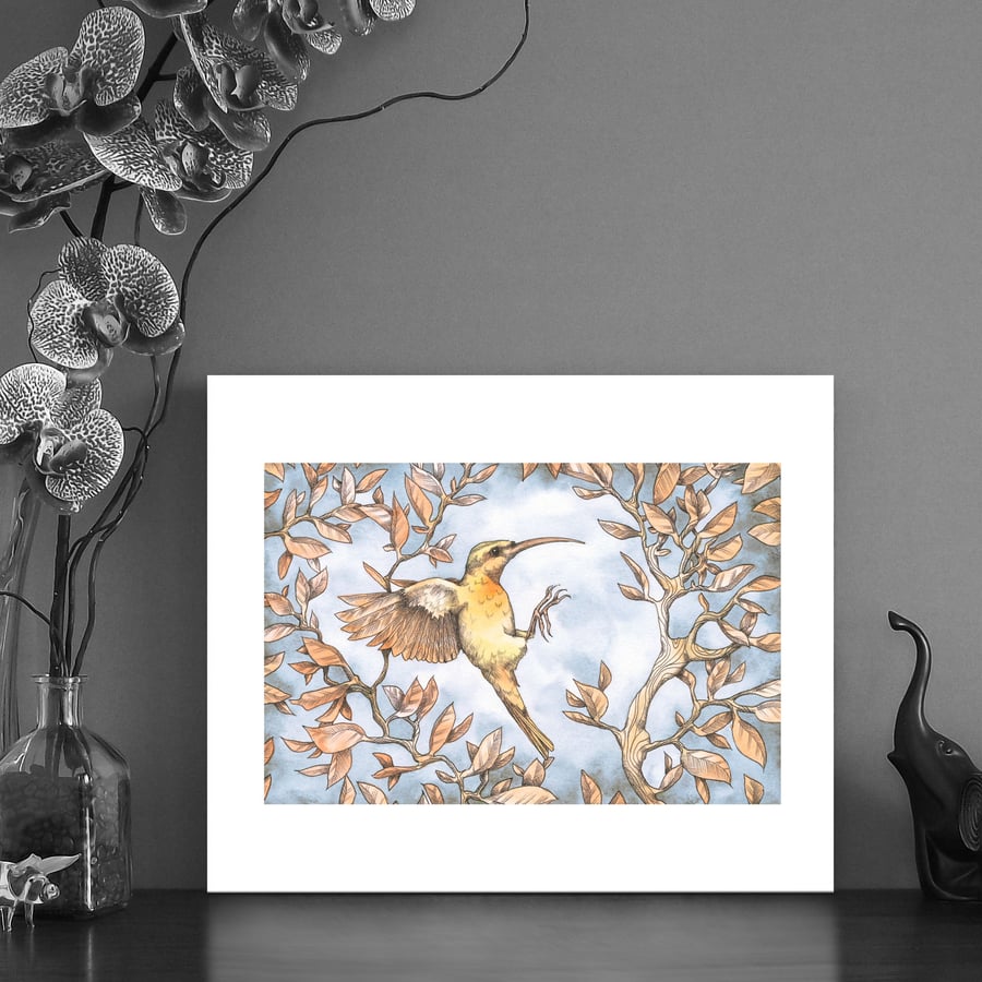 Image of Print of a flying sunbird
