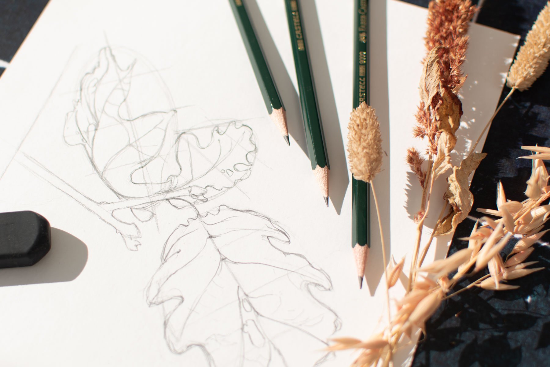 Image of Cours de dessin botanique