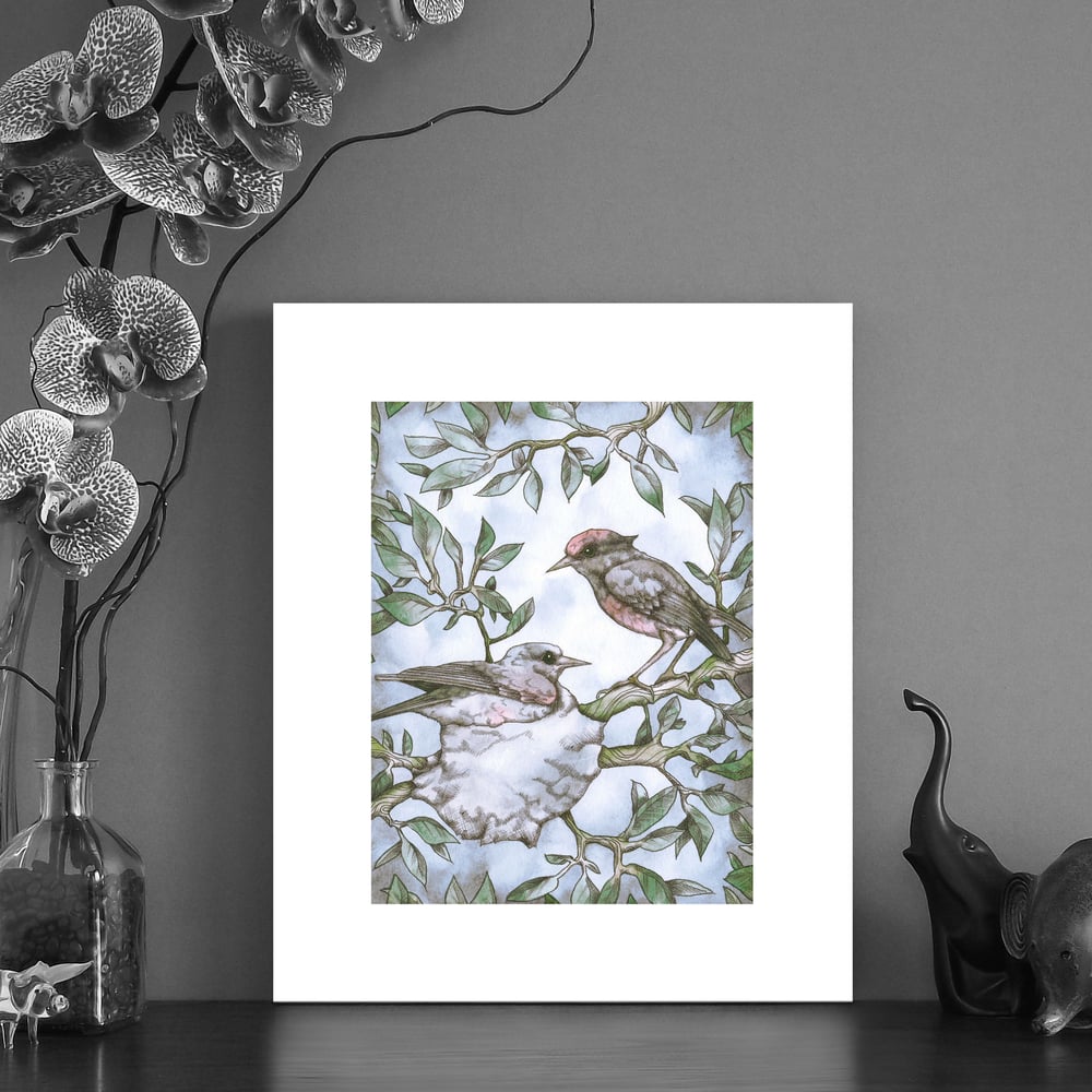 Image of Print of two Fairy wrens 