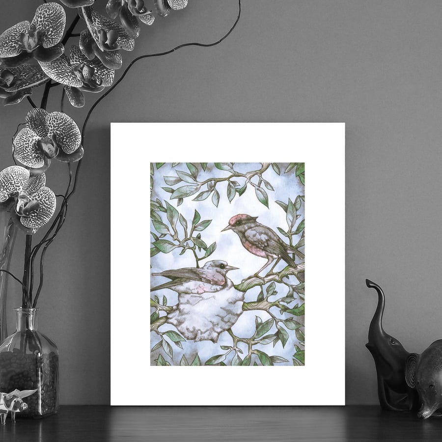 Image of Print of two Fairy wrens 