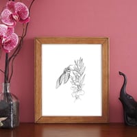 Image 3 of Black & white print of an Elephant hawk moth with free Art Card