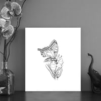 Image 1 of Black & white print of a Swallow tail butterfly with free Art Card