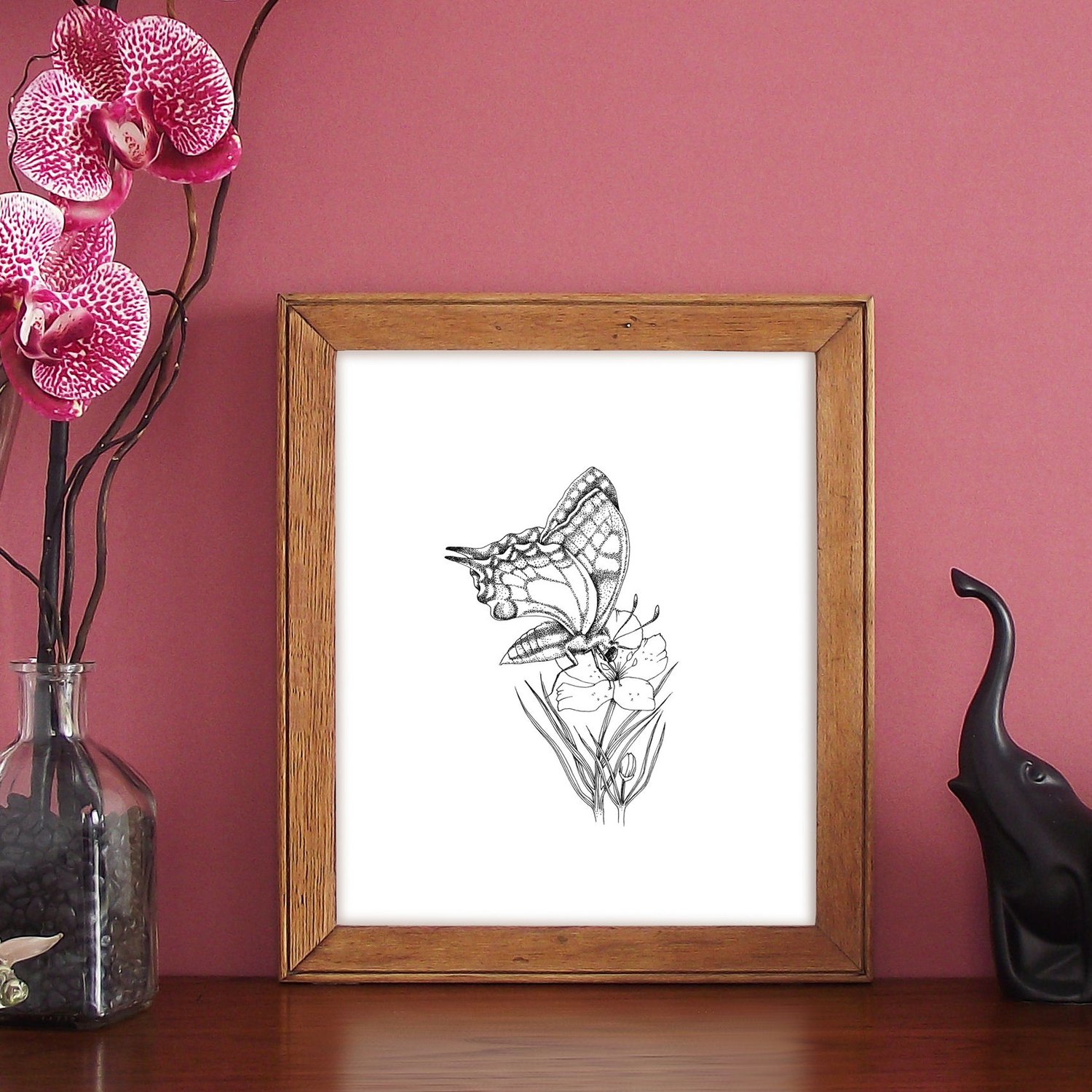 Image of Black & white print of a Swallow tail butterfly 