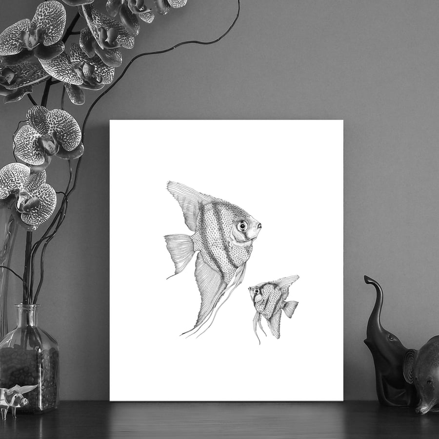 Image of Black & white print of two Angelfish