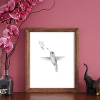 Image 3 of Black & white print of a feeding hummingbird with free Art Card
