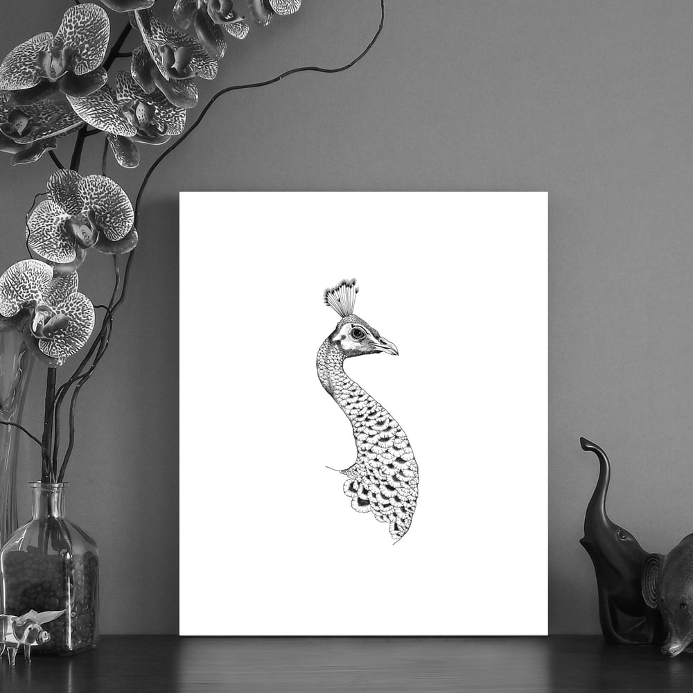 Image of Black & white print of a Peacock head 