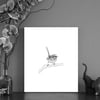 Black & white print of a Fairy wren with free Art Card
