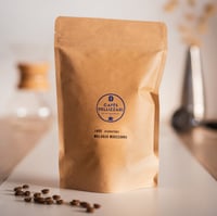 Inde - Malabar moussonné