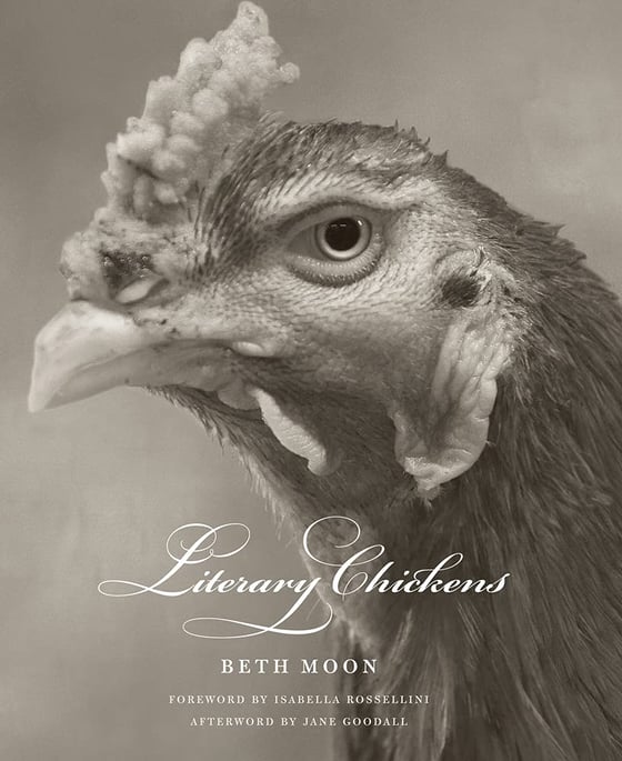 Image of Literary Chickens 