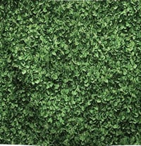 Image 1 of 8 x 8 Family Backdrops
