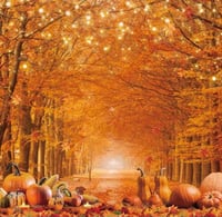 Image 2 of 8 x 8 Family Backdrops