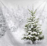 Image 3 of 8 x 8 Family Backdrops