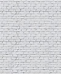Image 5 of 8 x 8 Family Backdrops