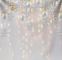 Image 2 of 8 x 8 Family Backdrops 3
