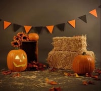 Image 3 of 10 x 16 and  10 by 10  Family Backdrops