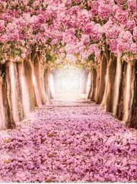 Image 3 of 8 x 6,  9 x 5 Flowers and Fall Trees 10 x 10