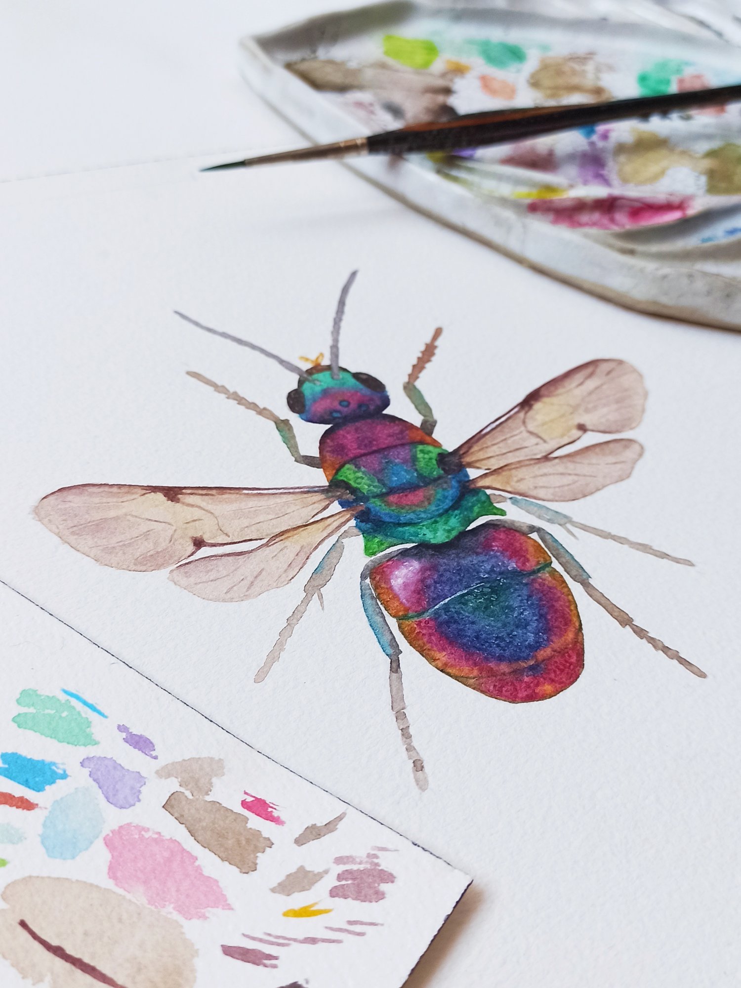 Image of Cuckoo wasp Watercolor Illustration PRINT 