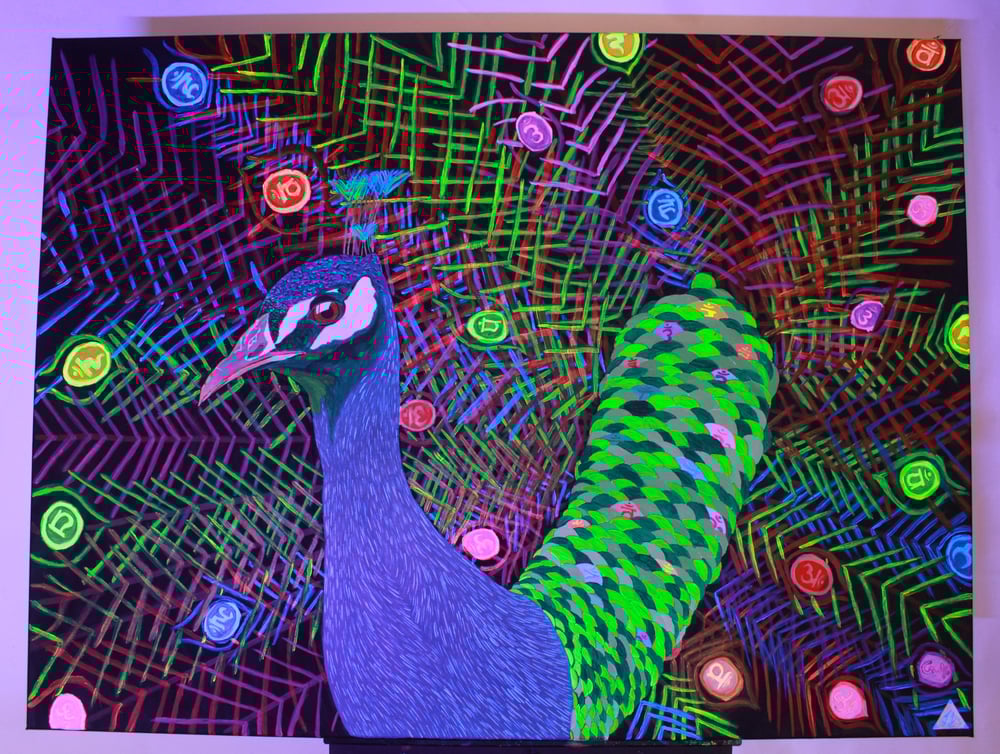 Chakra Neon Peacock