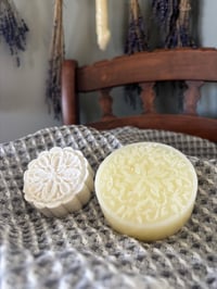Image 3 of Shampoo & Conditioner 