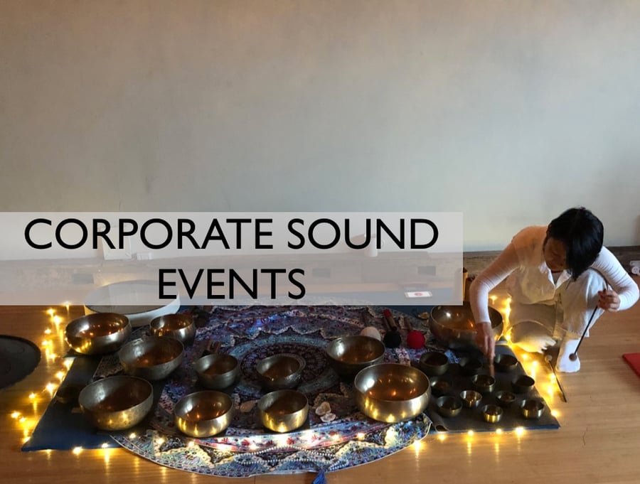 Image of Corporate Sound Event