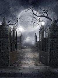 Image 4 of 9 x 7,  7 x 7 and 5 x 7 Special Event Backdrop  