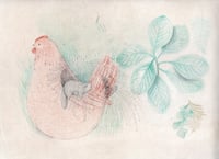 hen - drawing by Julia D