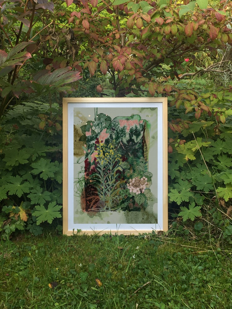 Image of Garden Journal - Golden Wreath Plant & Hydrangea