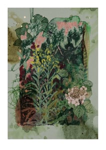 Image of Garden Journal - Golden Wreath Plant & Hydrangea