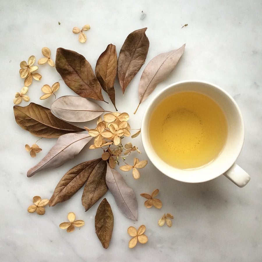 Image of MOROCCAN GREEN TEA with Orange Blossom