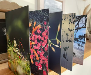 Image of Greetings cards - pack of 6 or 12 luxe original designs with envelopes