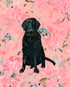 Custom Pet Portrait Image 4