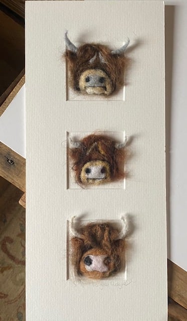 Image of "Three in a Box Highland Cows"