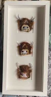 Image 2 of "Three in a Box Highland Cows"