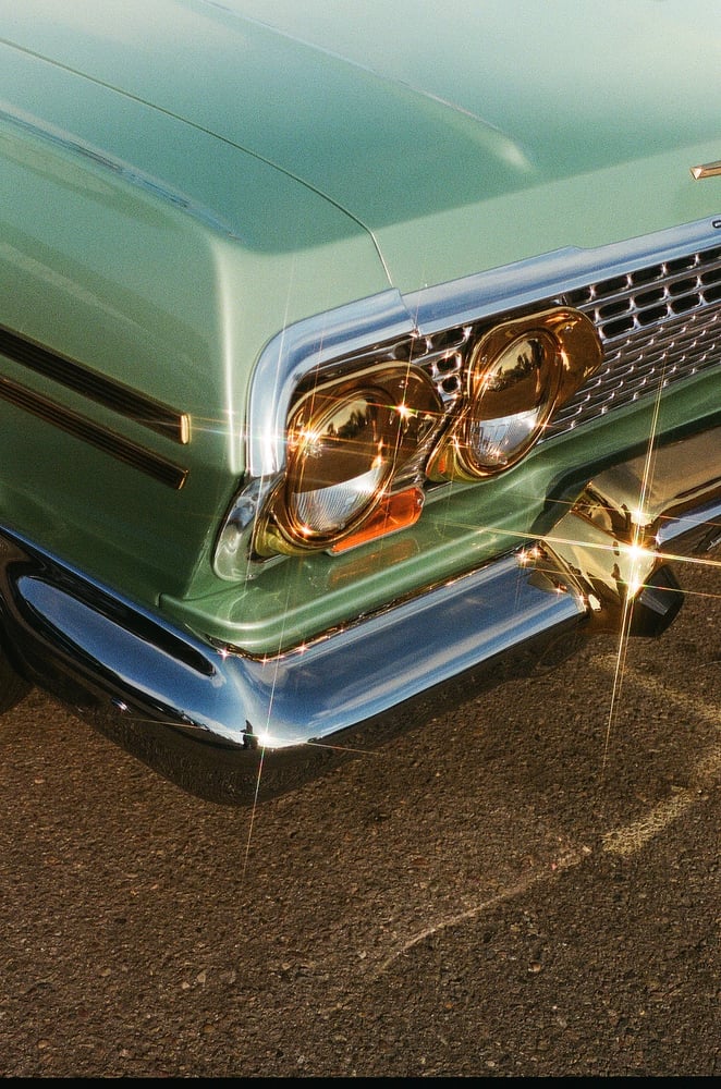 Image of Impala