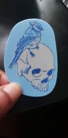 Untitled(Bluejay and skull) sticker