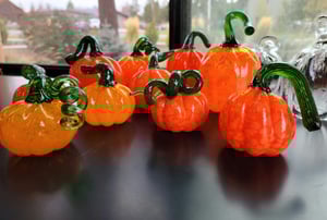 Image of Pumpkins