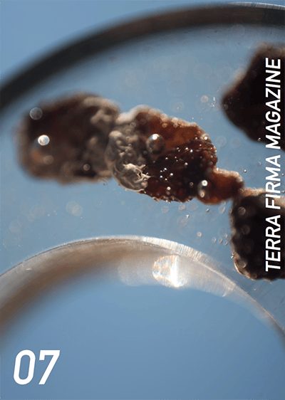 Image of terra firma magazine - issue 07
