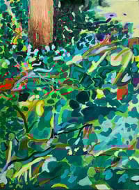 Common Ivy